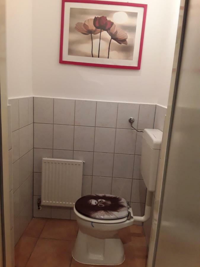Apartment Diana-contactless Check-in! Wien
